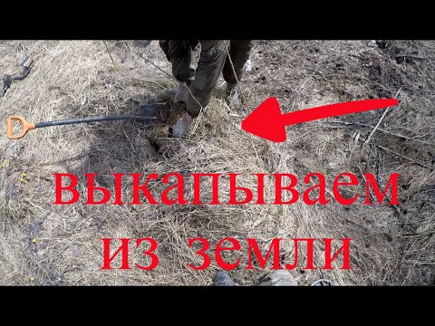 Видео: ЦЕЛАЯ МАШИНА МЕТАЛЛА ДО ОБЕДА