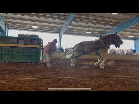 Видео: Его лошади весили на 1000 фунтов больше моих. Кто победит?