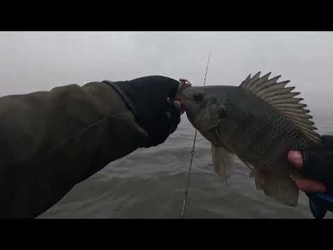 Видео: Экзотический Мормышинг.