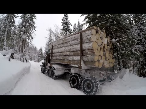 Видео: Еду на Урале за лесом. Новый маршрут.