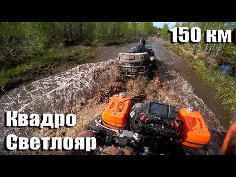Видео: Квадроциклы в походе на  Озеро Светлояр 150 км