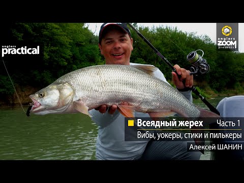 Видео: Всеядный жерех. Вибы, уокеры, стики и пилькеры. Алексей Шанин   Часть 1. Anglers Practical