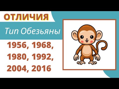 Видео: К какому типу / году Обезьяны Вы относитесь?  Характеристика по китайскому гороскопу.