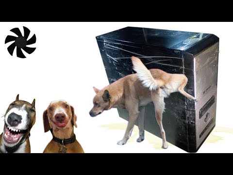 Видео: Принесли ссаный комп в ремонт, ремонт компьютера