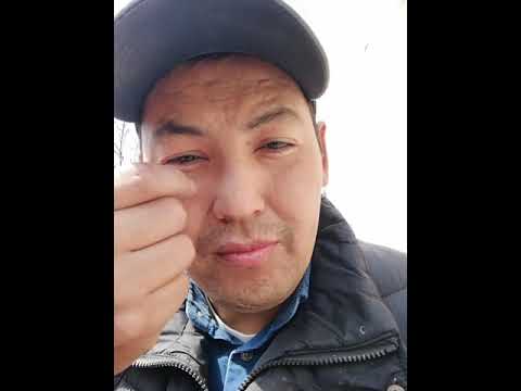 Видео: Эшктин Бээнин сүтү бойунча маалымат