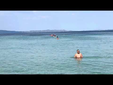 Видео: Никуся на сабе