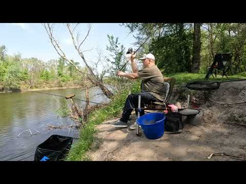 Видео: Псел 25 04 2025  Ловля на фидер