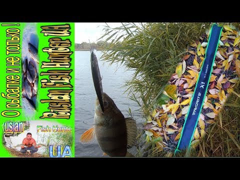 Видео: Спиннинг Favorite X1 602 Н,обрыблен  с первого заброса,в бесклевье! И посылка силикона !