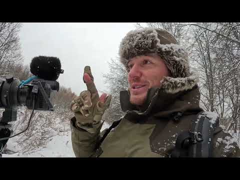 Видео: Камешки в кормушке. Дневник натуралиста. 15 декабря 2023 г.