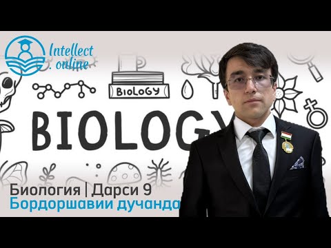 Видео: Биология | Бордоршавии дучанда | Дарси 9