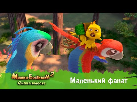 Видео: Мишки-Братишки. Снова вместе - Серия 36 - Маленький фанат - Мультик - Продолжение Медведи-соседи