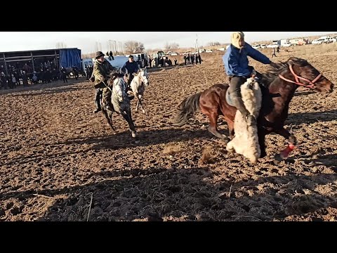 Видео: Улак кызыды 🔥🔥🔥 Бишкек/ Озёрный.