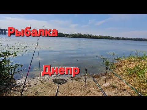 Видео: Рыбалка Днепр. Такую рыбу Я ещё не ловил.