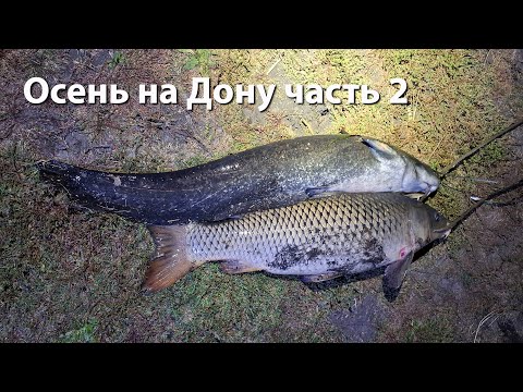 Видео: Осень на Дону часть 2 подводная охота 2024 ночная охота 2024 подводная охота ростовская область 2024