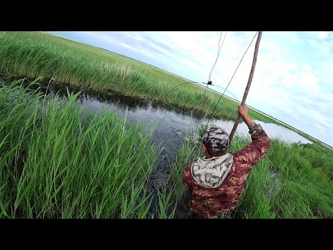 Видео: Опустили камеру под воду, а там!!!!!!!!!! Рыбалка на паук.