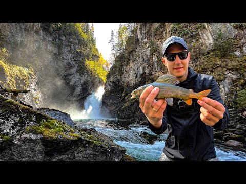 Видео: ЭТА ЯМА КИШИТ ХАРИУСОМ 🔥 НА ВОДОПАДЕ В СИБИРИ 🎣 РЫБАЛКА КАЗЫР