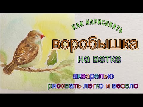 Видео: Воробышек на ветке, рисуем акварелью и акварельными карандашами. Первые шаги в акварели