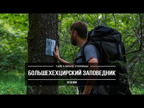 Видео: «Большехехцирский заповедник» | Уникальная тайга Хабаровска, царство бабочек и следы Дерсу Узала