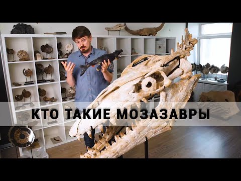 Видео: Кто такие мозазавры? Рассказывает палеонтолог Дмитрий Григорьев