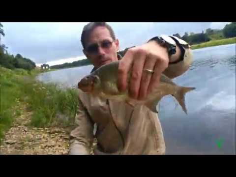 Видео: Колчаново 2019   Река Сясь   Рыбалка