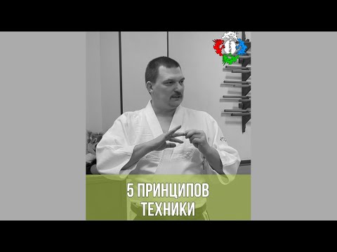 Видео: 5 принципов техники айкидо