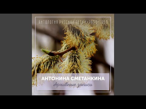 Видео: Кудрявая рябина архивная запись