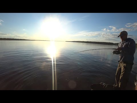 Видео: Лодка Туман 565, Хозяин Реки и рыбные трофеи