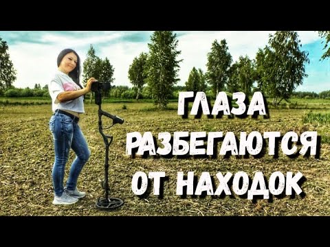 Видео: ОЧЕНЬ КРУТОЕ МЕСТО В ПОИСКАХ КЛАДА и ЗОЛОТА.