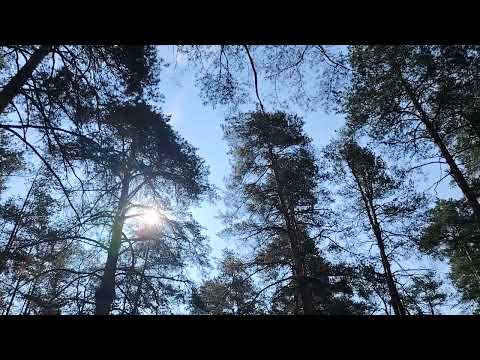 Видео: Некоторые моменты из работы девушек по найму в организациях. 4-е женские истории