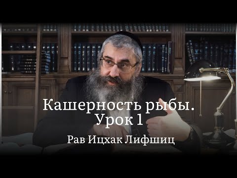 Видео: Кашерность рыбы. Урок 1
