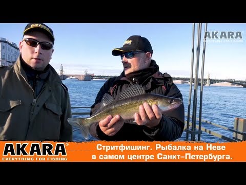 Видео: Стритфишинг. Рыбалка  на Неве в самом центре Санкт-Петербурга.