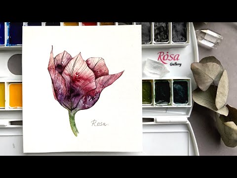 Видео: Выкраска акварели Rosa gallery