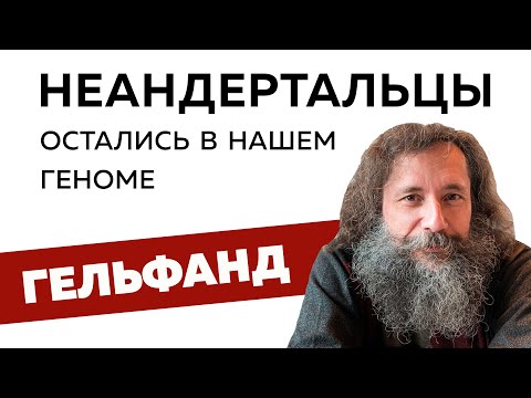 Видео: Неандертальцы остались в нашем геноме // Михаил Гельфанд