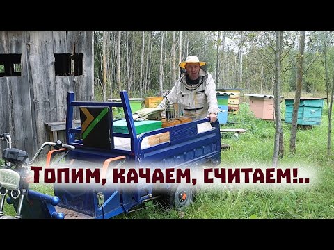 Видео: Сколько меда накачали?//Крольчиха-рекордсмен!//Хряка-вернули!..