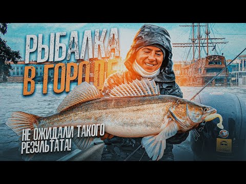 Видео: ОТЛОВИЛИСЬ В ГОРОДЕ за несколько часов. Финский залив умеет удивить