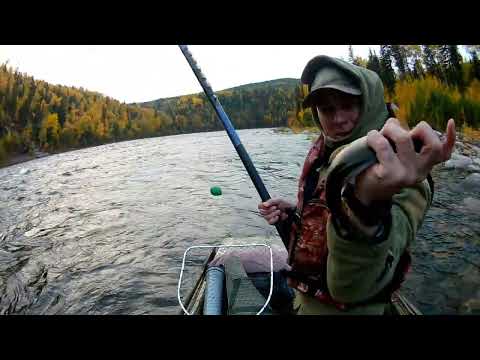 Видео: Рыбалка и охота в порогах реки Чая 2022