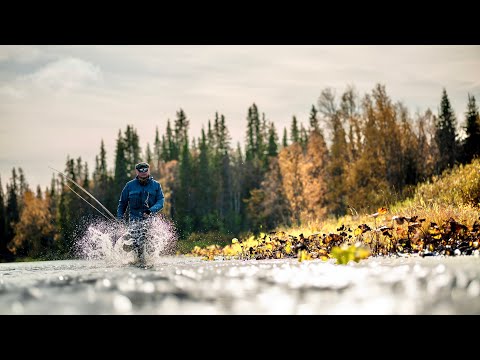 Видео: Это было круто 🙌🏻🔥🍁