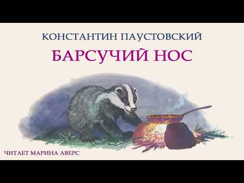 Видео: БАРСУЧИЙ НОС |Константин Паустовский |СКАЗКИ ДЛЯ ДЕТЕЙ |Аудио сказка |ЛУЧШАЯ ДЕТСКАЯ ЛИТЕРАТУРА