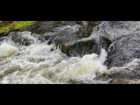 Видео: Тумча июль 2021