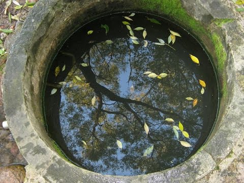 Видео: Святые источники Аршанщины