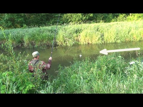 Видео: Рыбалка на поплавок с прикормкой которая собирает всю рыбу с округи