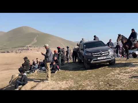 Видео: Бузкаши дараи Саркокул нохияи Хамадони!