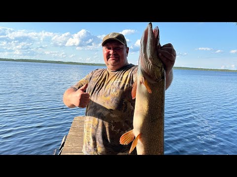 Видео: ЛОВИМ ЩУКУ НА ТАЕЖНОМ ОЗЕРЕ 2 серия