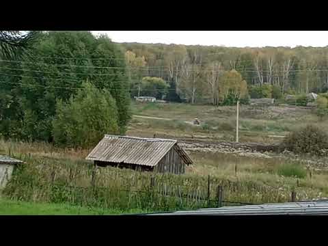 Видео: 11 сентября 2025 г.