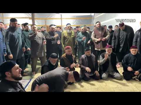 Видео: Гараев 1абдулла кхелхина тезет. 6-г1а буьйс. 11.10.2025 Жима-Атаг1а