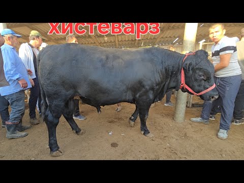 Видео: 12 сентября 2025 Г.МОЛБОЗОРИ ХИСТЕВАРЗ Ш ХУЧАНД ХУДЖАНД ТОЖИКИСТОН molbozor bozor 