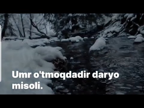 Видео: Abdulloh Domla - Judayam ma'noli so'zlar | Абдуллох Домла - Жудаям маъноли сузлар #abdullohdomla