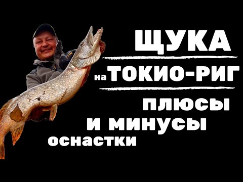 Видео: Щука на ТОКИО-РИГ: плюсы и минусы оснастки, сравнение с джиг-ригом, рекомендации по ловле