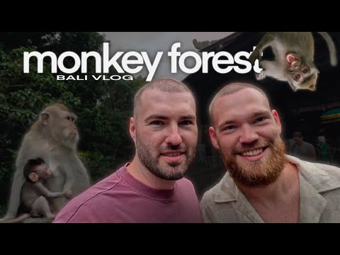 Видео: Бали #3: В гостях у обезьян | Monkey Forest