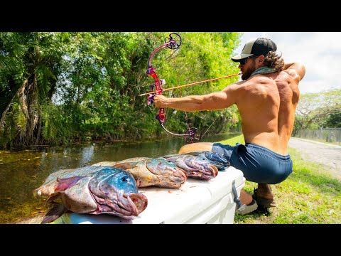 Видео: Рыбалка на инвазивную дикую тилапию, чтобы прокормить флоридскую пуму! (Поймать чистого повара)